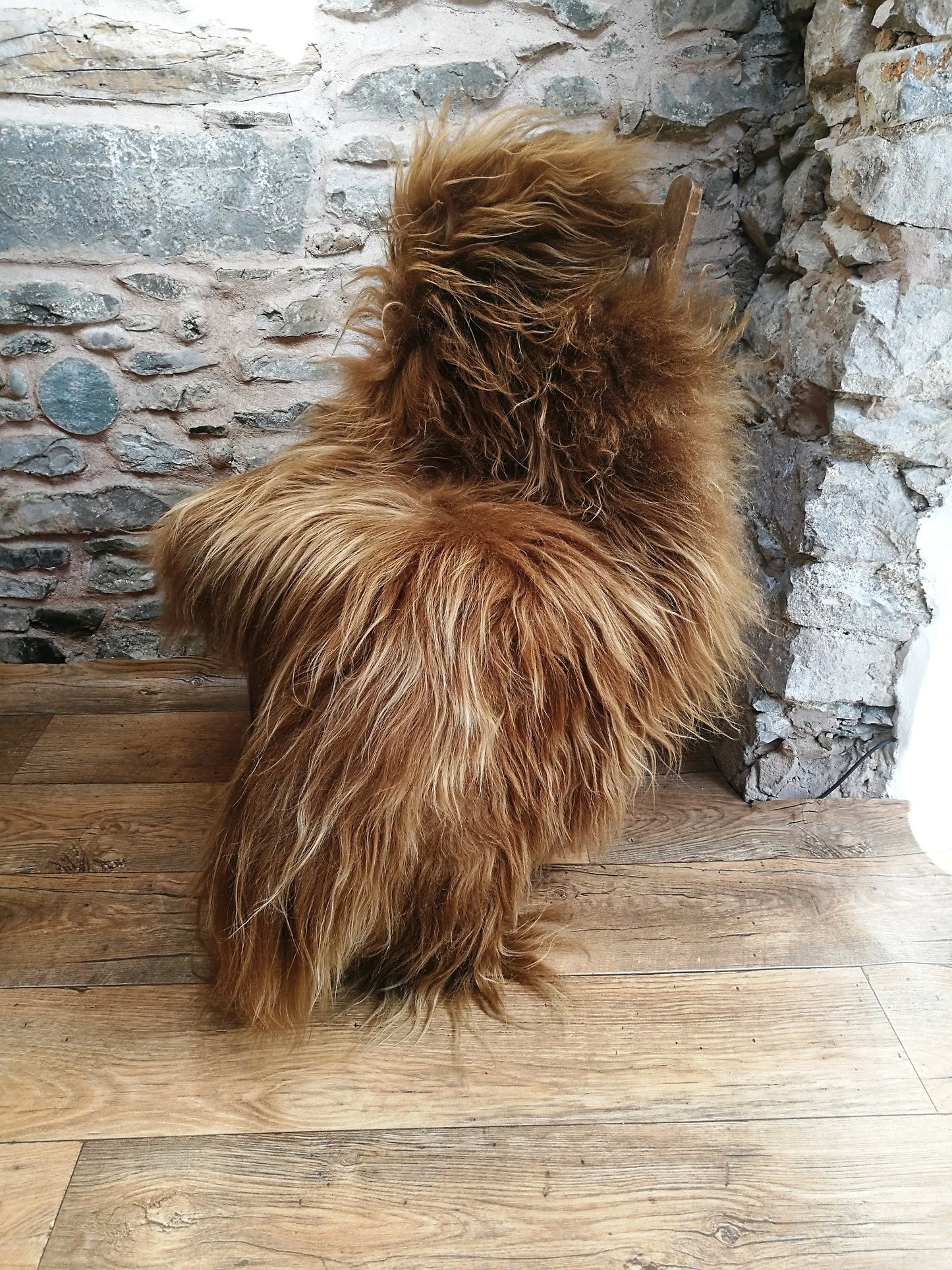 Highland Cow Icelandic Sheepskin