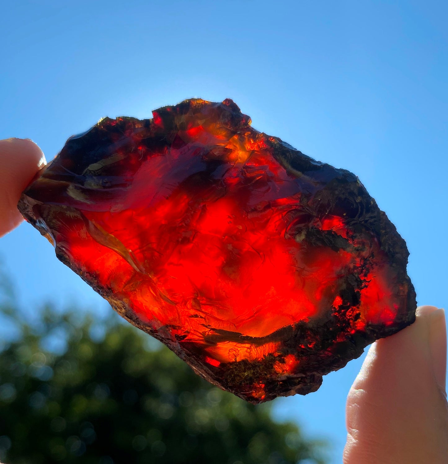 Natural Black Amber