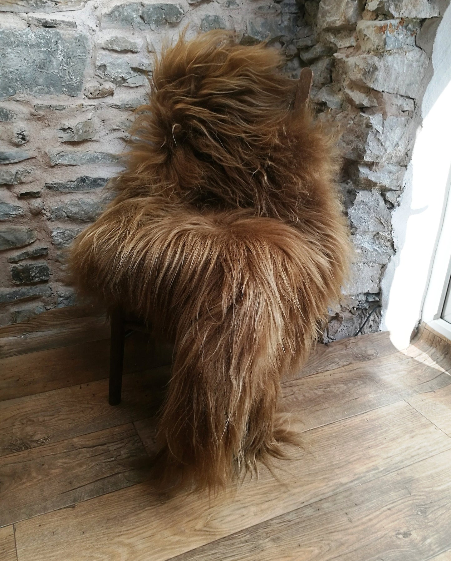 Highland Cow Icelandic Sheepskin