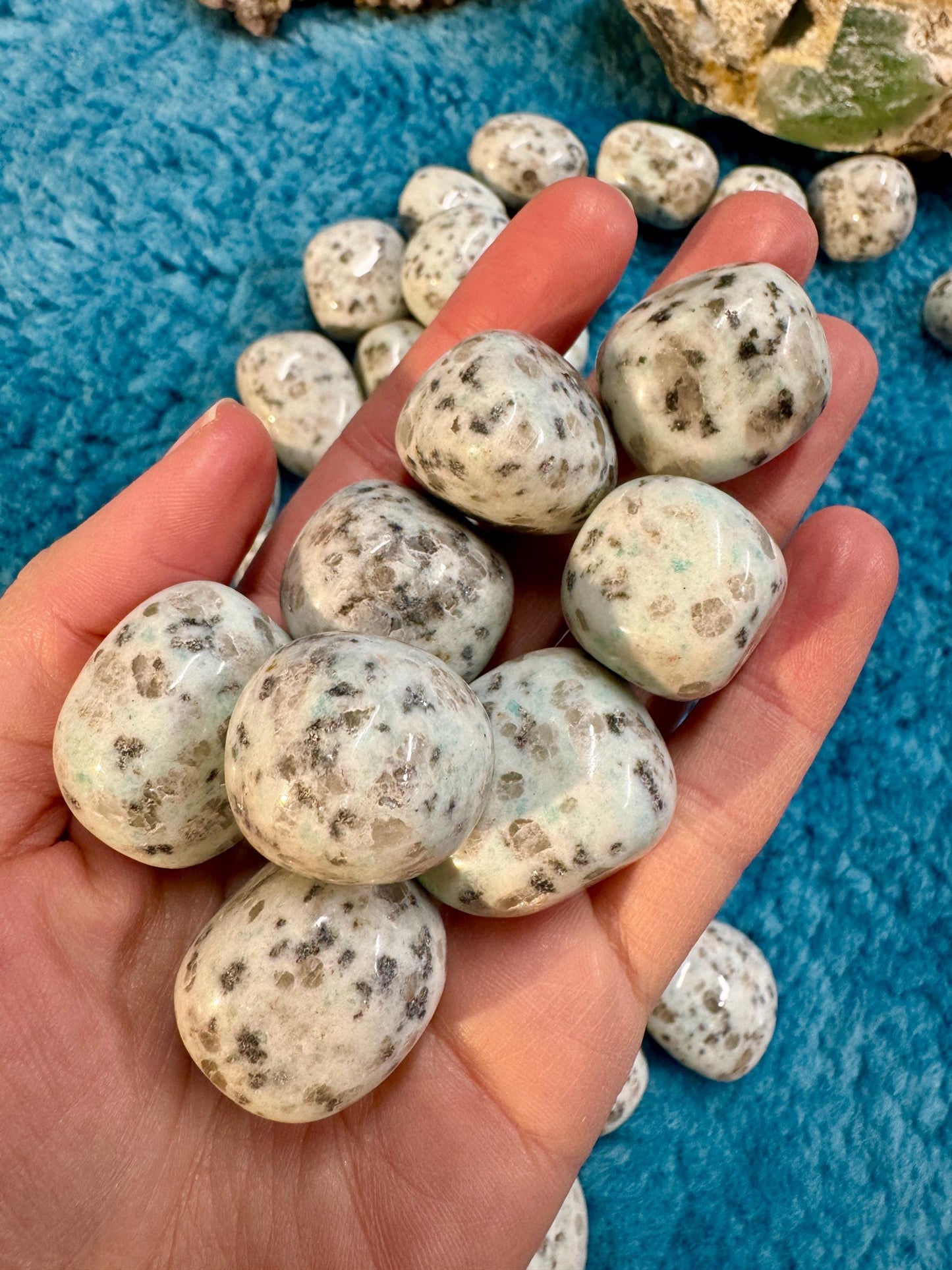 Kiwi Jasper Tumblestones