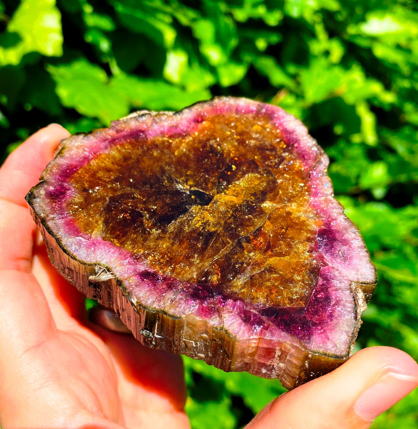 Museum-Grade Watermelon Tourmaline Slab 1098 Carats
