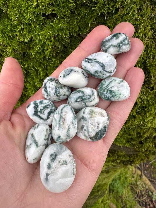Tree Agate Tumblestones