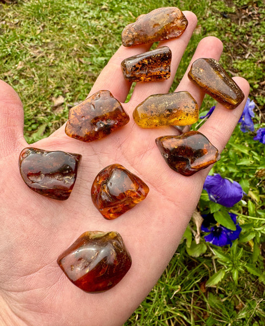 Polished Amber