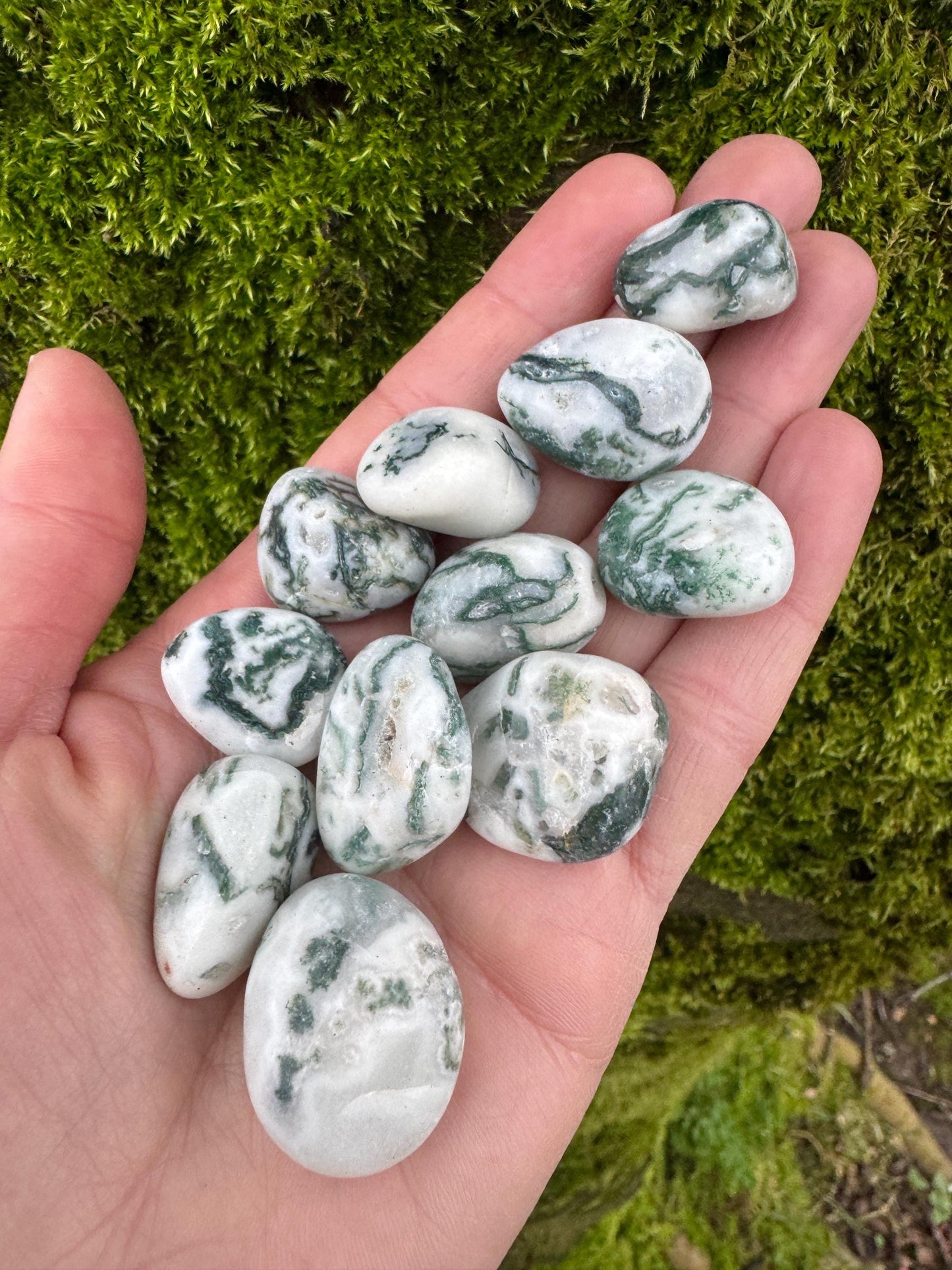 Tree Agate Tumblestones
