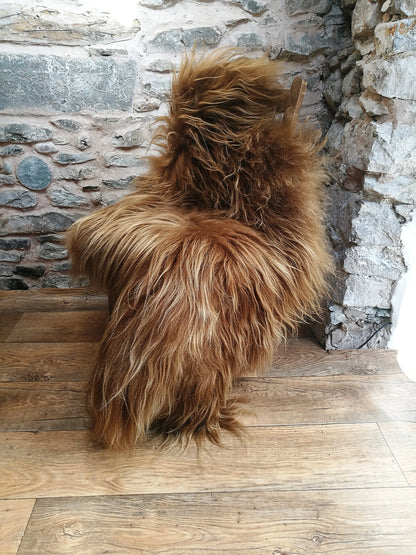 Highland Cow Icelandic Sheepskin