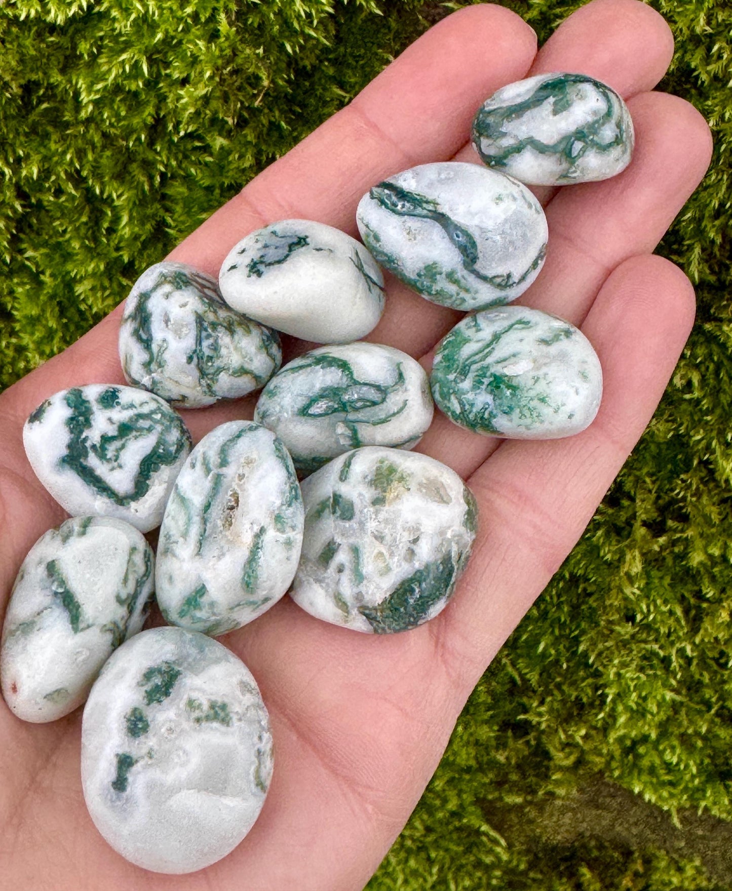 Tree Agate Tumblestones