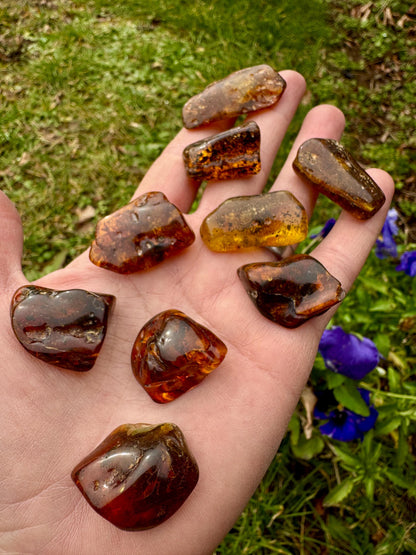 Polished Amber