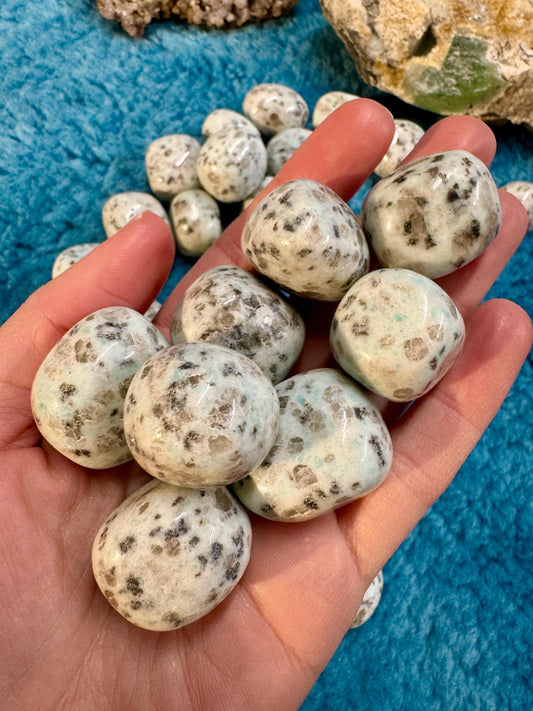 Kiwi Jasper Tumblestones
