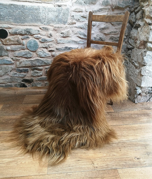 Highland Cow Icelandic Sheepskin