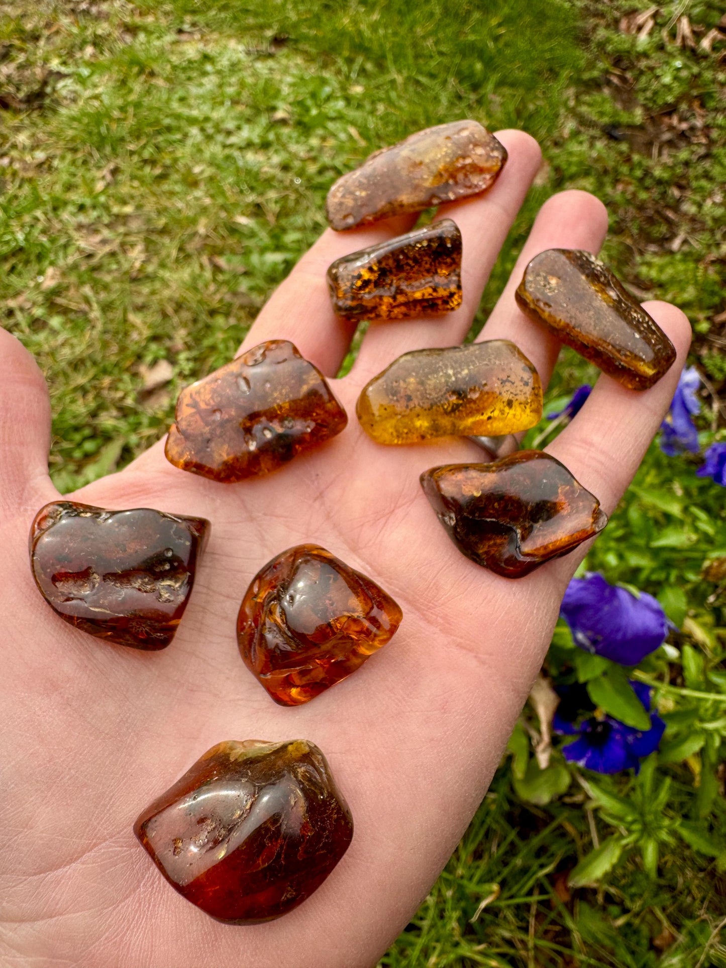 Polished Amber