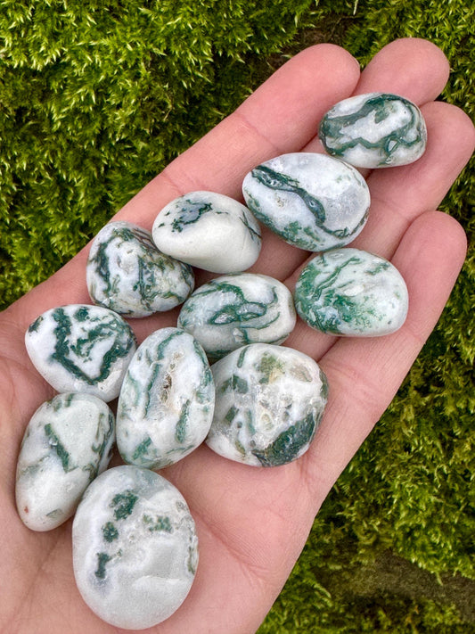 Tree Agate Tumblestones