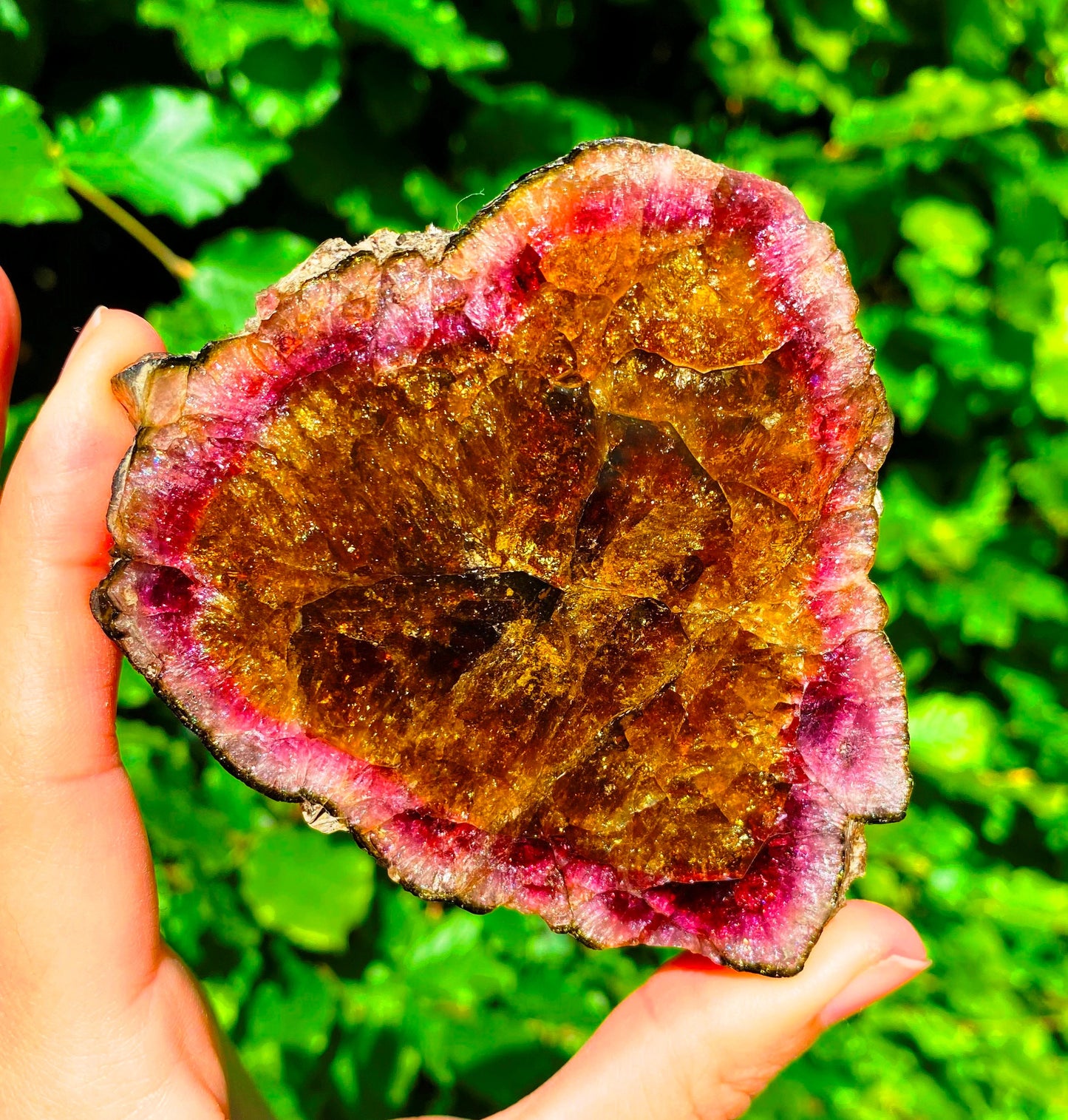 Museum-Grade Watermelon Tourmaline Slab 1098 Carats