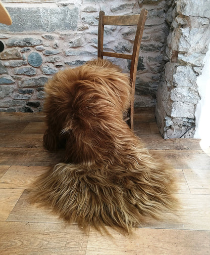 Highland Cow Icelandic Sheepskin