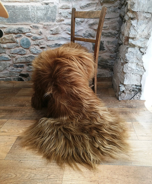 Highland Cow Icelandic Sheepskin