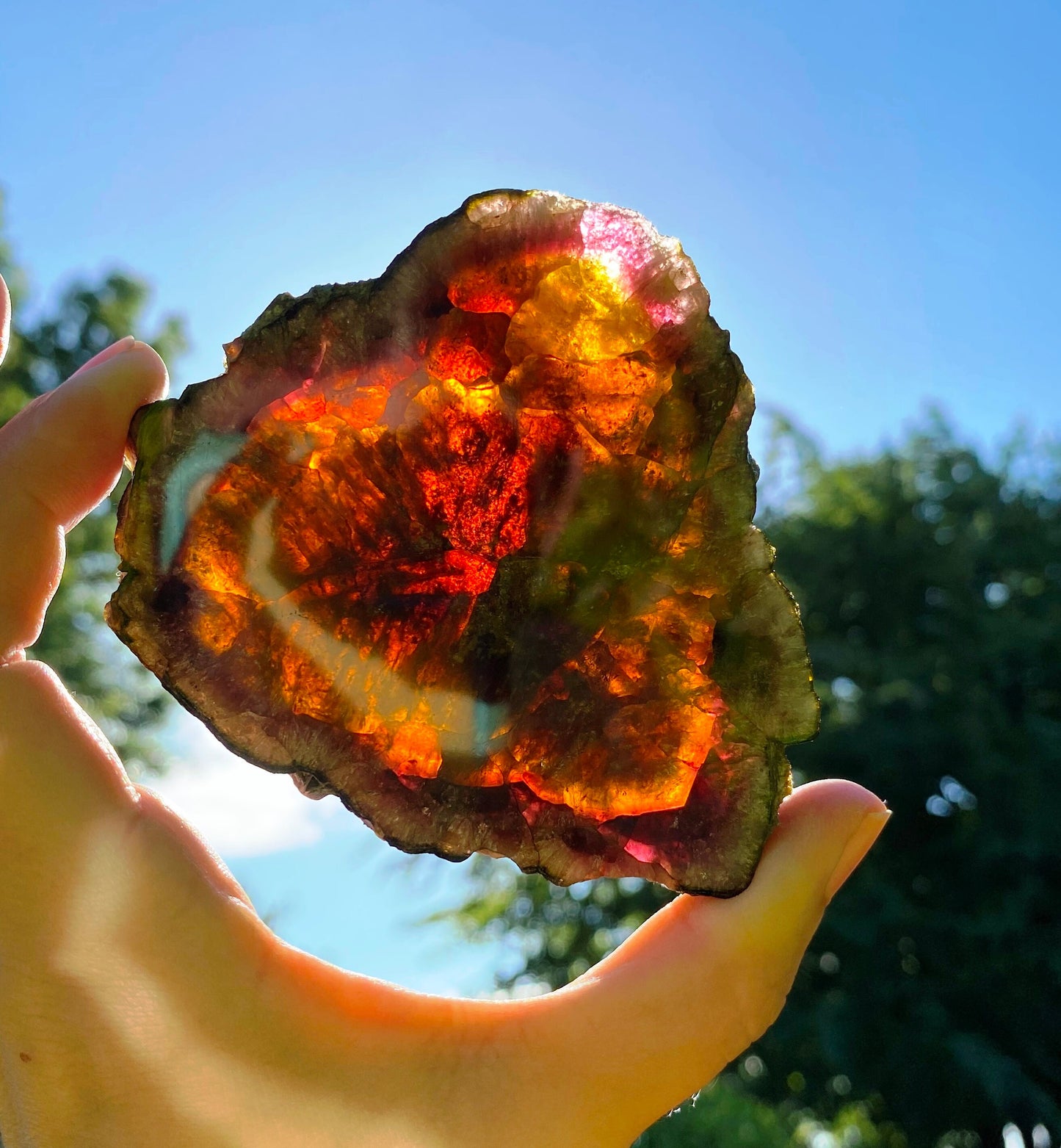 Museum-Grade Watermelon Tourmaline Slab 1098 Carats