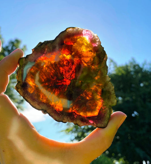 Museum-Grade Watermelon Tourmaline Slab 1098 Carats