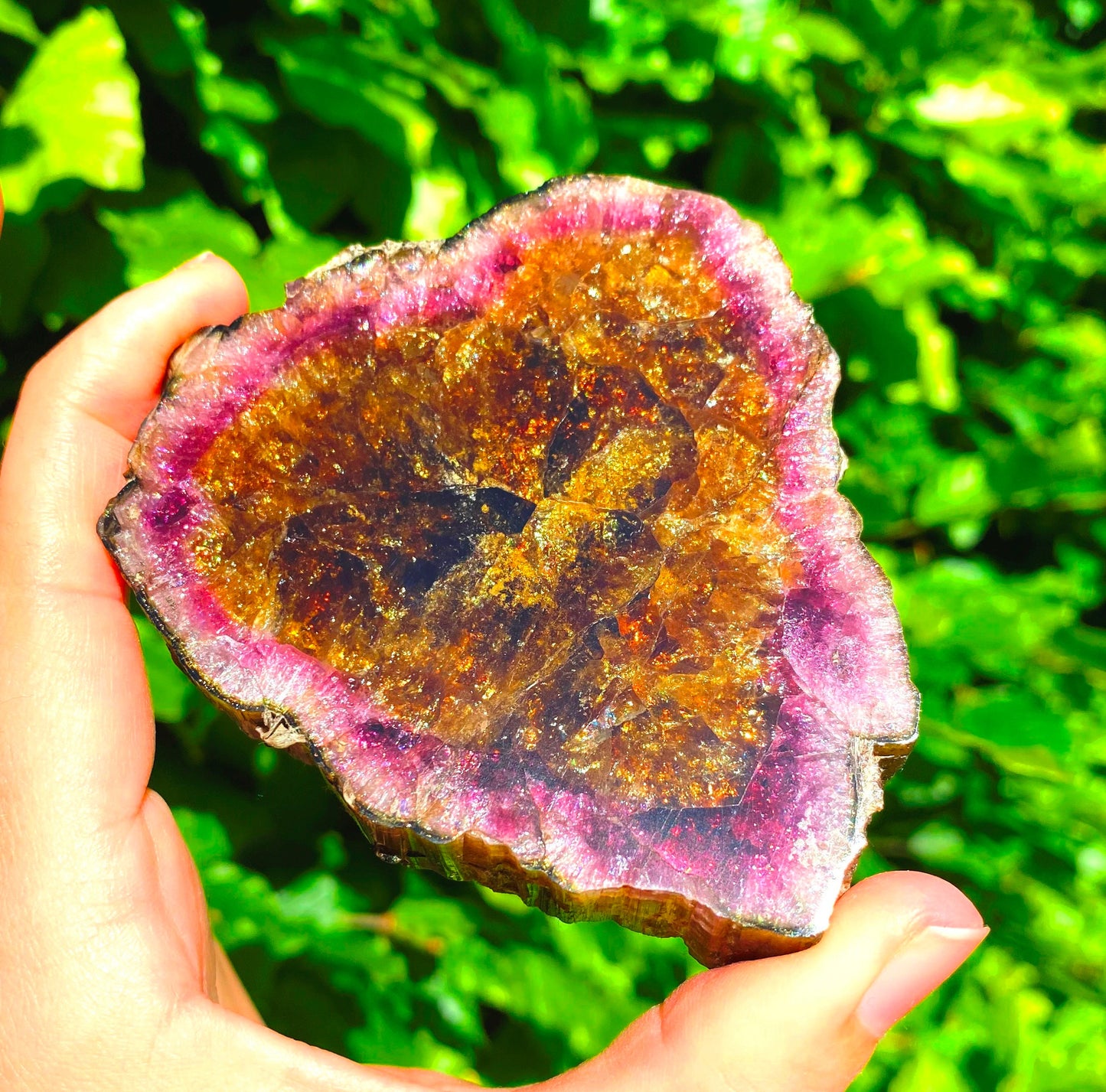 Museum-Grade Watermelon Tourmaline Slab 1098 Carats