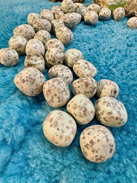 Kiwi Jasper Tumblestones