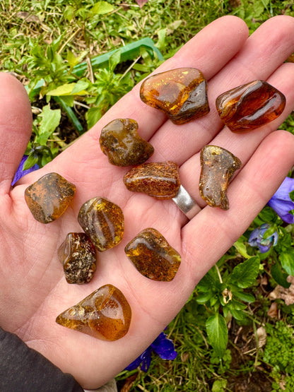 Polished Amber