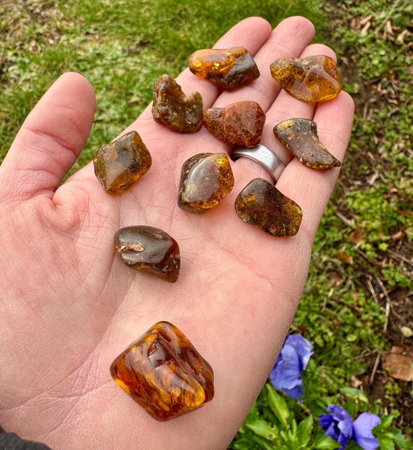 Polished Amber