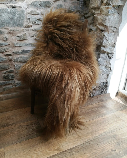 Highland Cow Icelandic Sheepskin