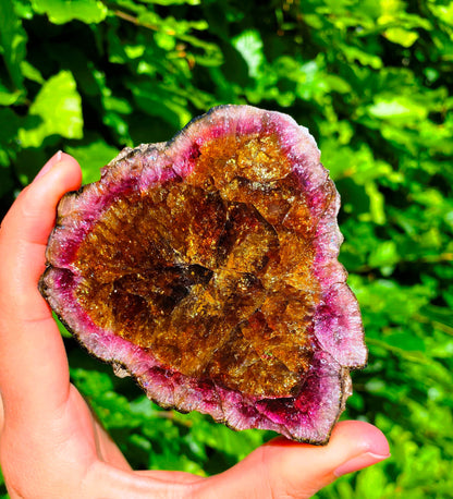 Museum-Grade Watermelon Tourmaline Slab 1098 Carats
