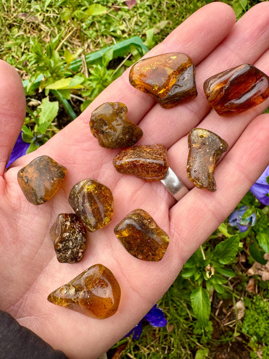 Polished Amber