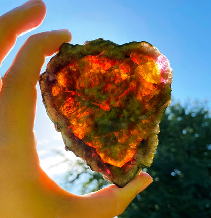 Museum-Grade Watermelon Tourmaline Slab 1098 Carats