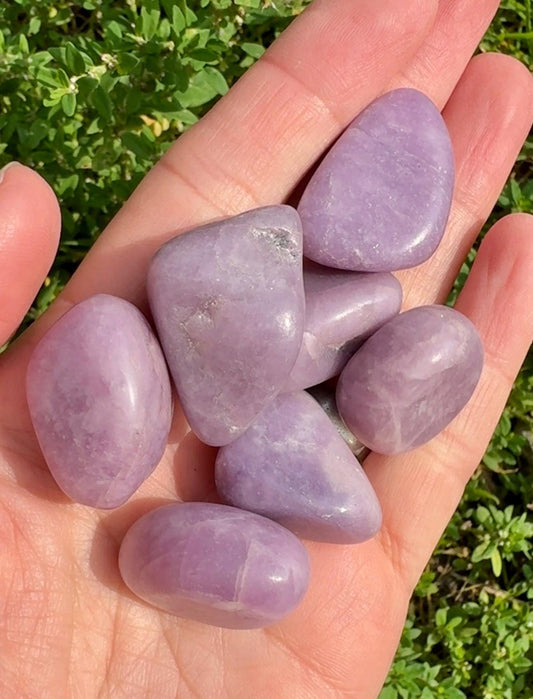 Lepidolite Tumblestones