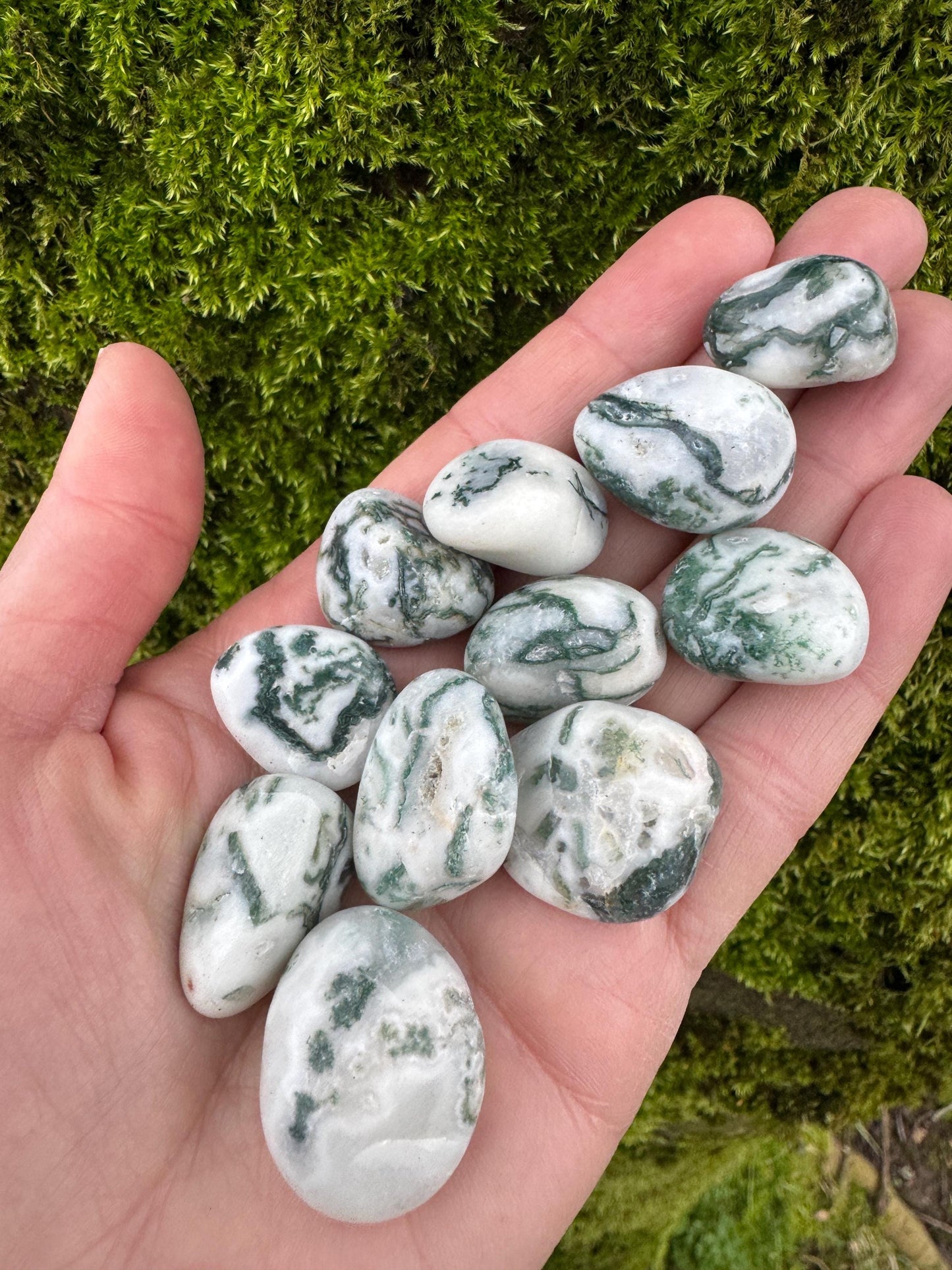 Tree Agate Tumblestones