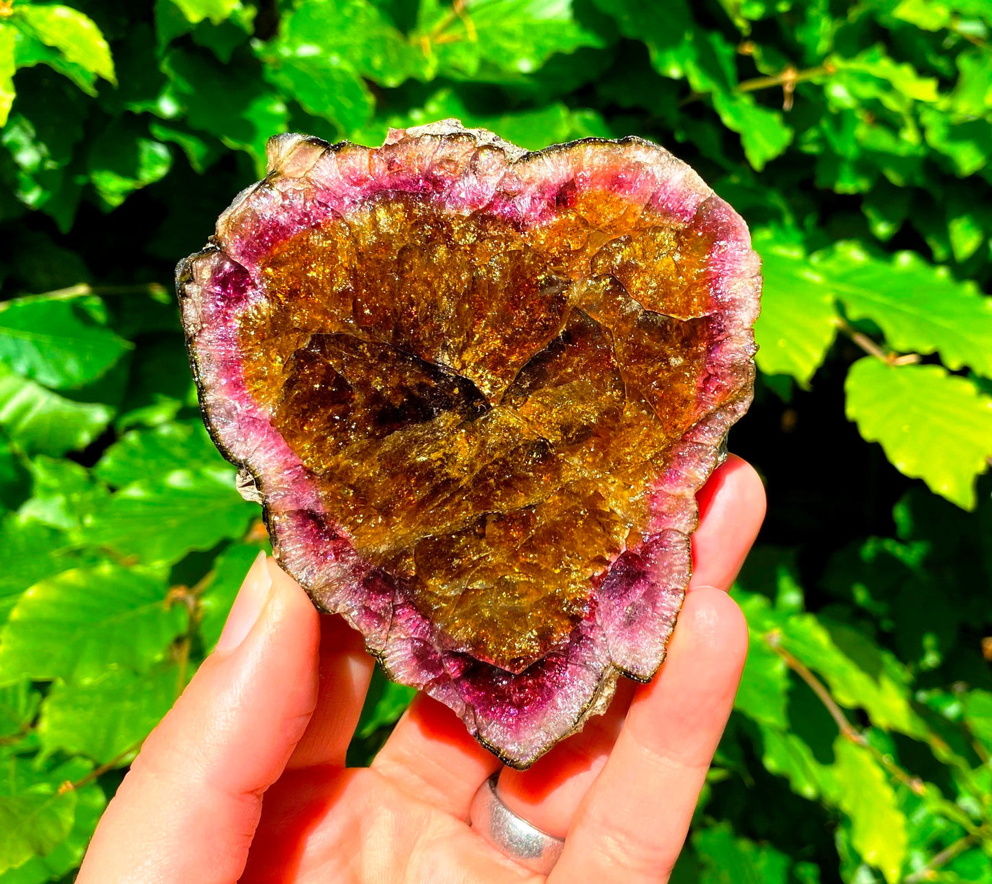 Museum-Grade Watermelon Tourmaline Slab 1098 Carats