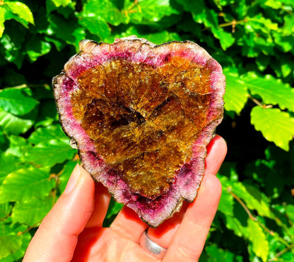 Museum-Grade Watermelon Tourmaline Slab 1098 Carats