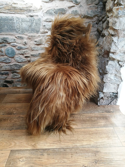 Highland Cow Icelandic Sheepskin