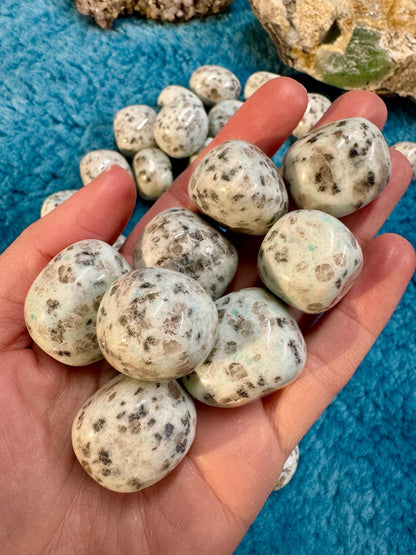 Kiwi Jasper Tumblestones