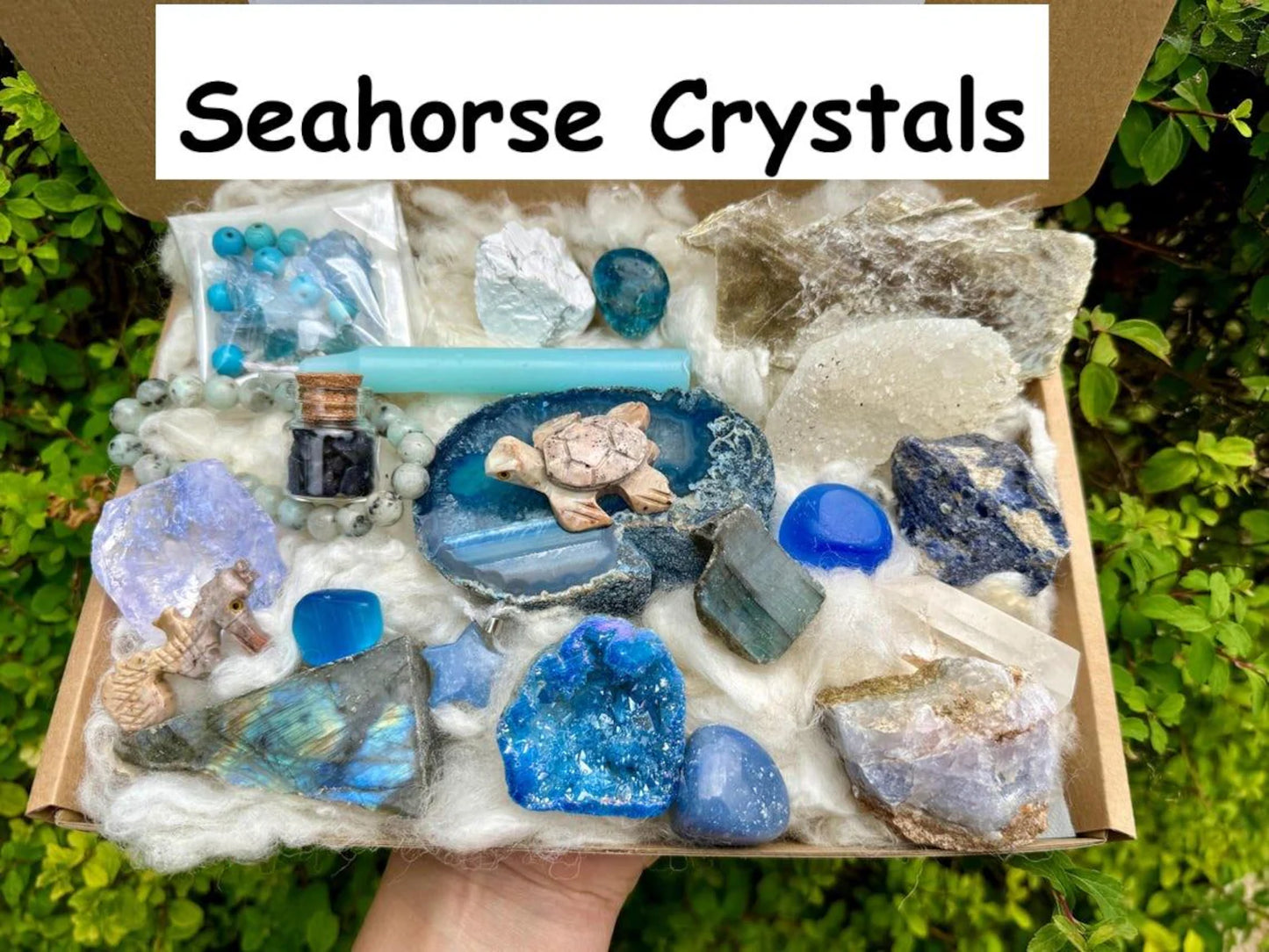 Seahorse Crystals - Crystal Gift Set